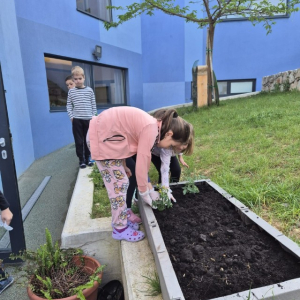 PHOTO-2026-04-21-19-47-53 5 Custom