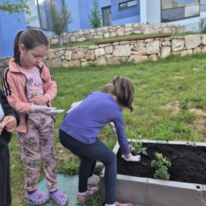 PHOTO-2026-04-21-19-47-54 Custom