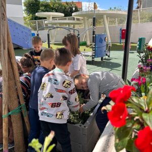 PHOTO-2026-04-22-08-43-10 3 Custom