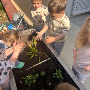 processed-04013D07-0AC8-4B3E-B58E-12C67AF67A17 Custom