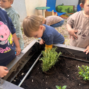 processed-66DA7E94-CF31-4728-8935-6C083F1C0B9E Custom