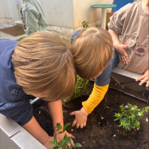 processed-9380775E-4393-4987-8BE5-6C0F55C036FC Custom