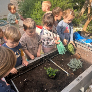 processed-A252B692-25DA-41CF-9180-53B101EF8AAE Custom