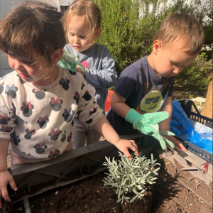 processed-E27B6696-F6C6-4F14-BC9D-D5317147F02B Custom