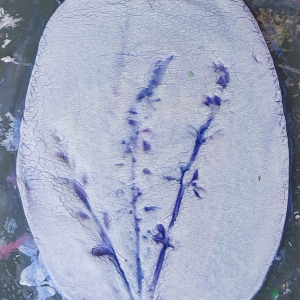 WhatsApp Image 2026-04-26 at 21.39.56 (1)