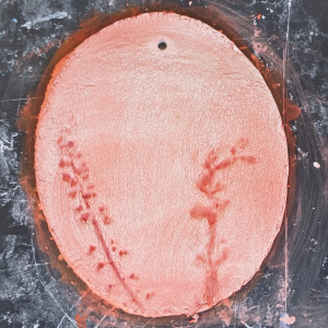 WhatsApp Image 2026-04-26 at 21.39.56 (3)