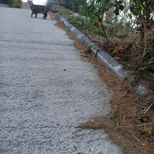 WhatsApp Image 2026-05-19 at 07.43.38 (9)