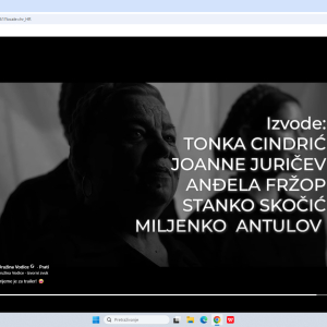 Snimka zaslona (5)
