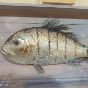 WhatsApp Image 2026-07-20 at 20.53.49 (2)