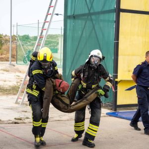 firec-01066
