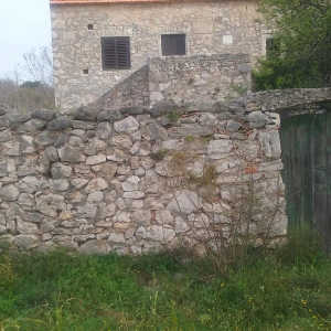 IMG-20260913-WA0000