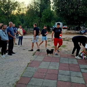 Paljenje svijeća i polaganje vijenaca ispred spomenika pok.Božidaru Bašiću
