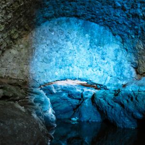 IMG_0594